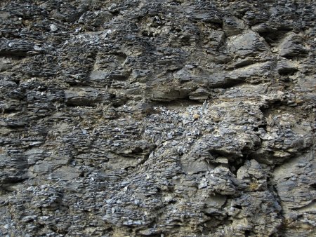 Rotten Wall