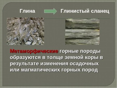 Глинистый сланец метаморфическая Горная порода