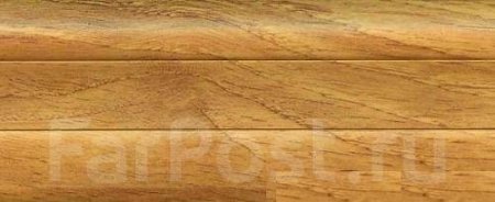 Arbiton lm55 Хикора Вирджиния