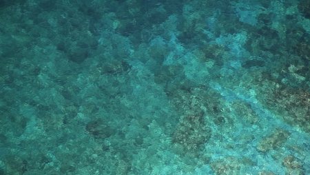 Дно моря вид сверху