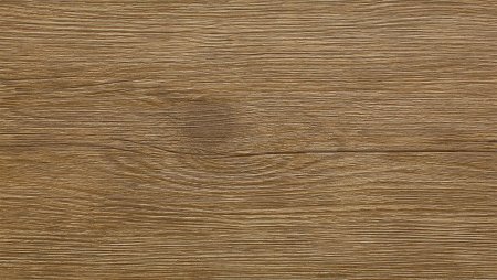 Ель Карпатская 203-6т