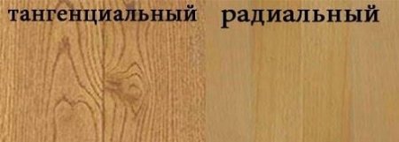 Тангентальный разрез дуба