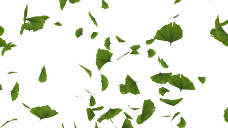 Летающие листья