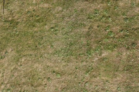 Текстура земли с травой (47 фото)