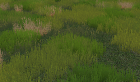 Tundra Terrain texture
