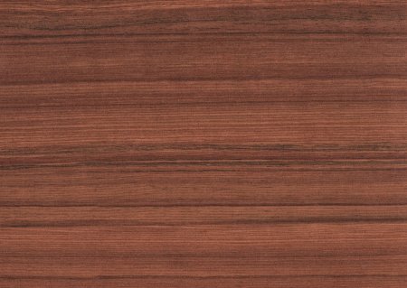 Лиственница Горная коричневая h3404 st38