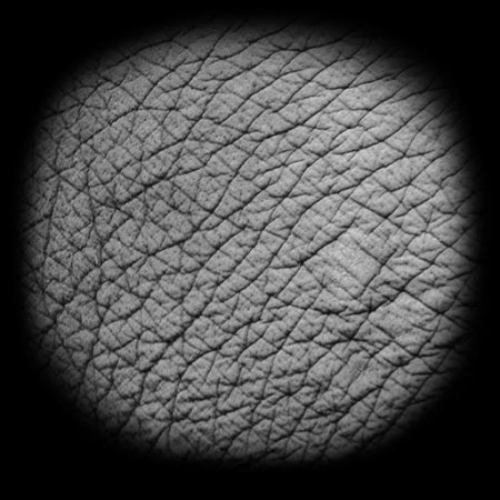 Кисть кожи для Zbrush