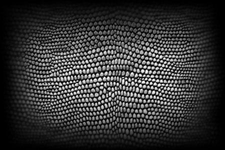 Кожа Zbrush Alpha