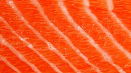 Текстура мяса рыбы