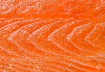 Salmon texture вектор