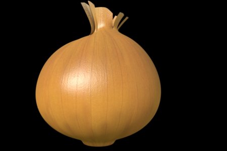 Луковица текстура