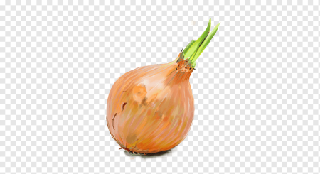 Лук без фона