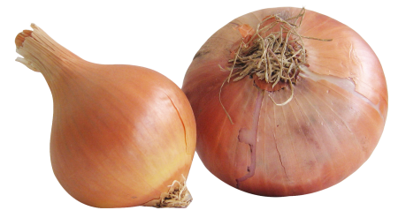 Лук шалот PNG