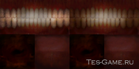 Tooth texture PNG