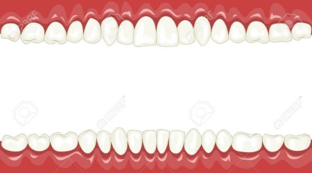 Текстура зубов (45 фото)