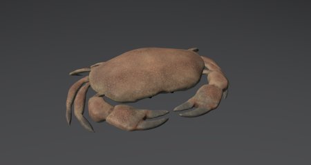 3d модель краба blodbenh
