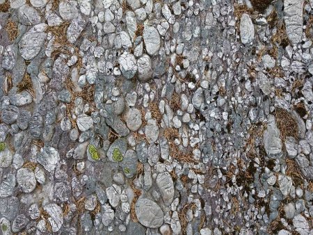 Палеозойский конгломерат