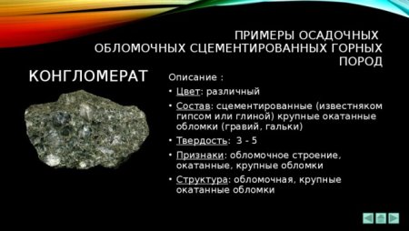 Конгломерат структура