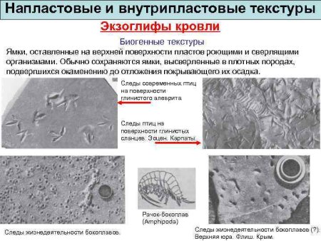 Внутрипластовые текстуры