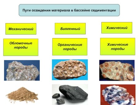 Химические, обломочные и органические породы