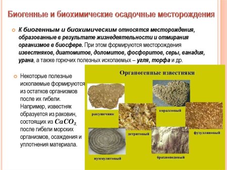 Биохимические осадочные месторождения