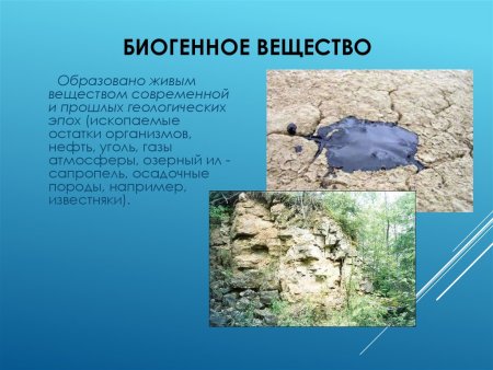 Биогенное вещество биосферы