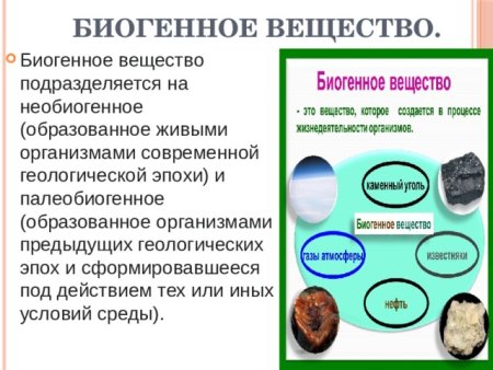 Биогермные известняки