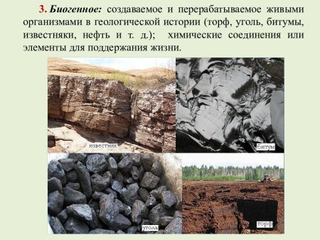 Геологический разрез нефтяного месторождения