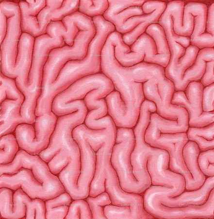 Текстура головного мозга