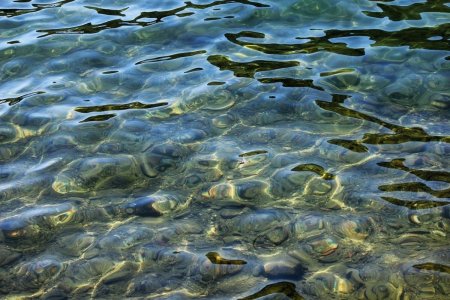 Вода в водоеме