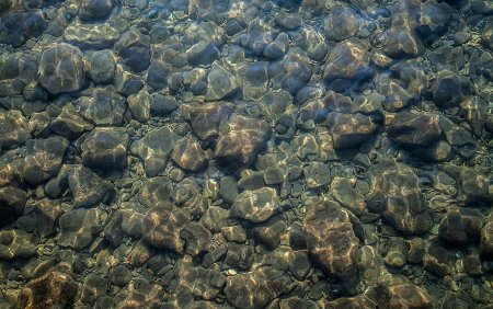 Морское дно вид сверху