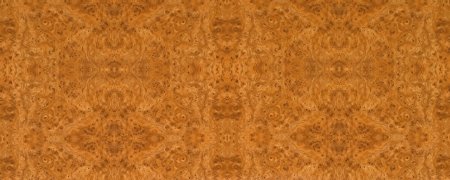 Шпон корень дорадо