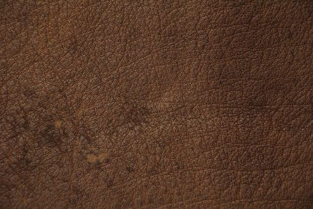 Коричневая кожа