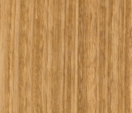 Древесина эвкалипт Eucalyptus шпон