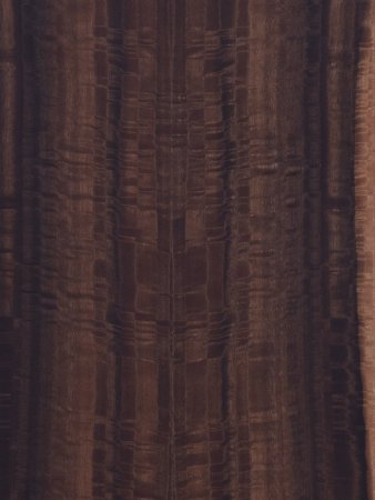 Шпон Tabu Eucalyptus