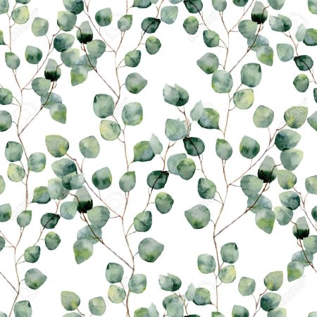Eucalyptus leaves