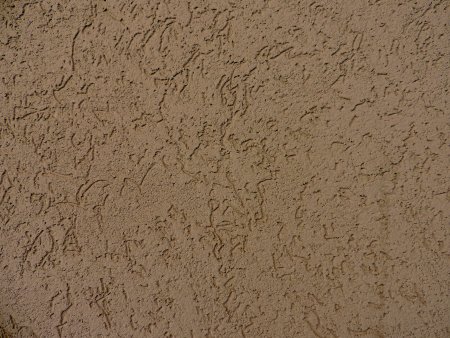 Короед Dirt