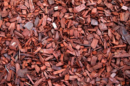 Сосновая кора мульча текстура