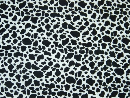 Расцветка коровы