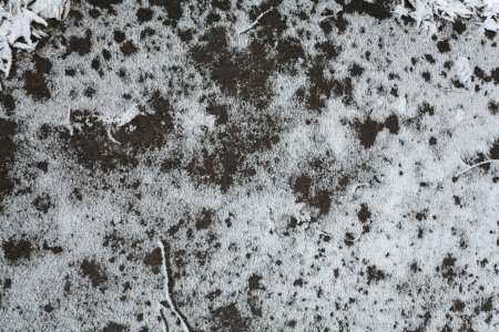 Пятнистая текстура