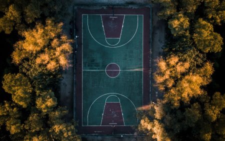 Кольцо баскетбольная площадка 3д модель SKB