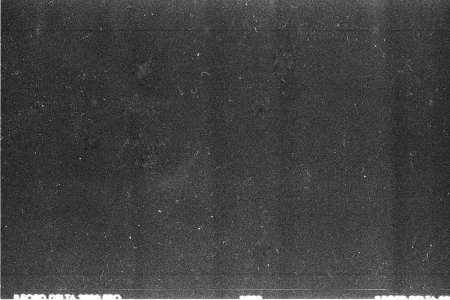 Скан пленочного зерна Ilford Delta 400pr