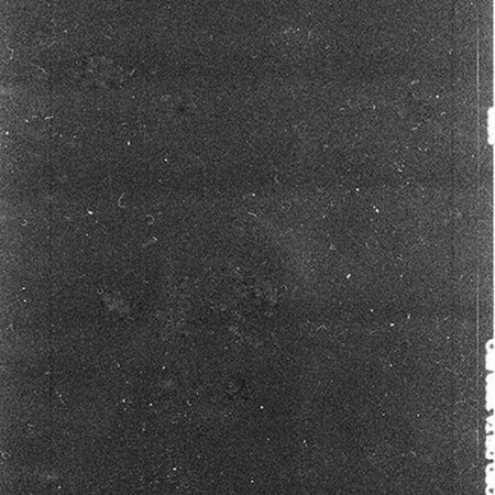 Скан пленочного зерна Ilford Delta 400pr