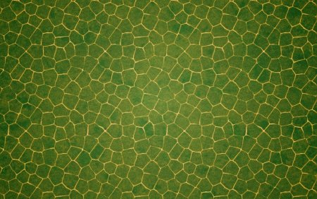 Текстура кожи