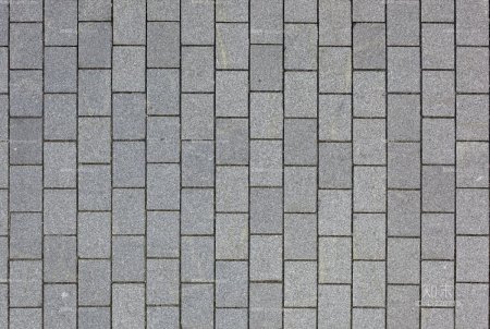 Тротуарная плитка текстура 3d Max Bumb