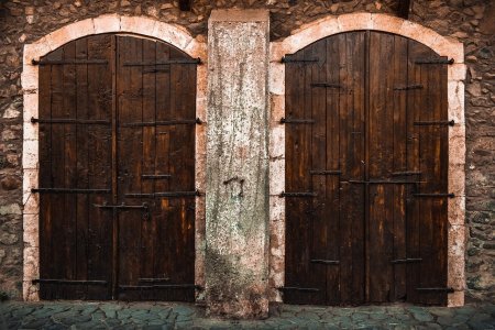 Текстура деревянной двери (48 фото)
