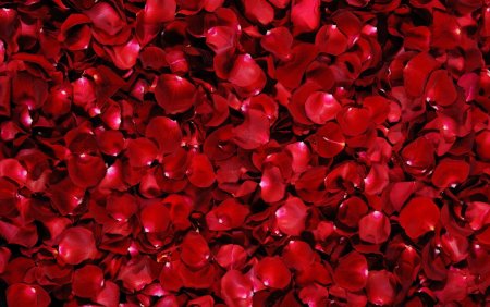 Rose Petals (лепестки роз)