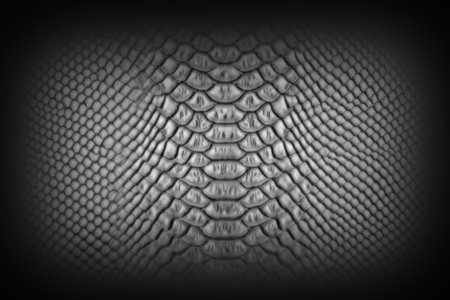 Альфа чешуя Zbrush