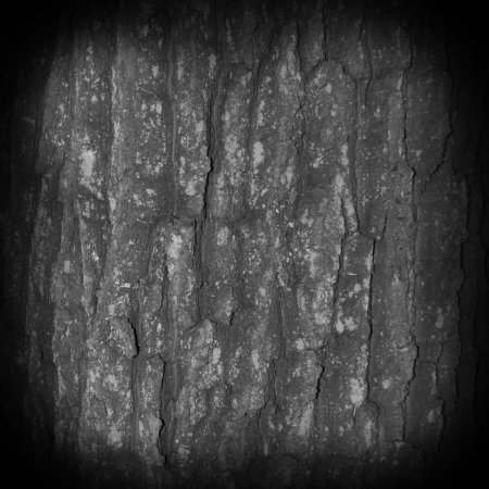Wood Alpha Zbrush