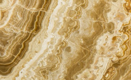 Оникс Onice Camel